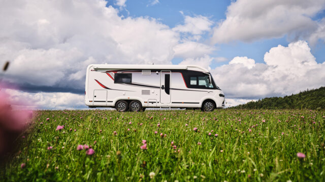 TM Crown Summer2 small